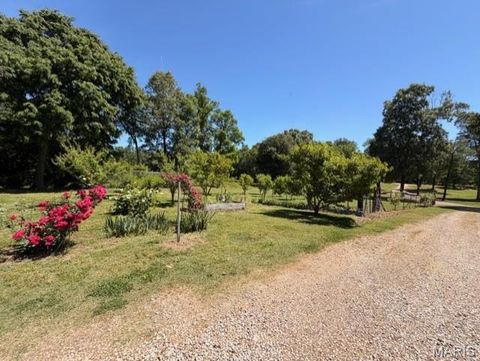 Tiny photo for 5539 Ripley Route E Rte, Doniphan, MO 63935 (MLS # 26031272)
