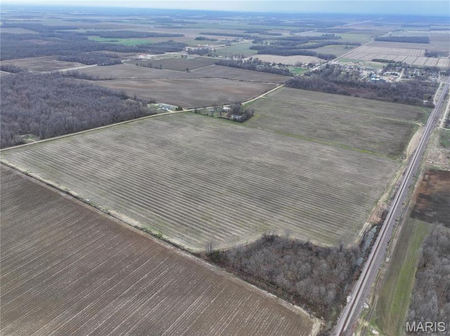 000 Old US Highway 67, Neelyville, MO 63954

$999,900

104 +/- acres

This Farm is separated into three separate fields. The sandy loam and complex soils makes this farm great for growing rice, corn and soybeans. This property has one well with underground pipe and risers, that operates on a power unit. The property has a second well that needs a pump that runs on electric. With the one well you won't have a problem watering this farm. Are you ready to grow your dreams?