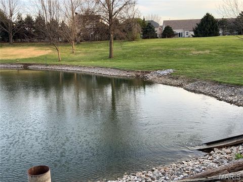 Tiny photo for 193 Berry Manor Circle, St Peters, MO 63376 (MLS # 26019266)