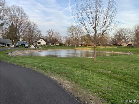 Tiny photo for 193 Berry Manor Circle, St Peters, MO 63376 (MLS # 26019266)