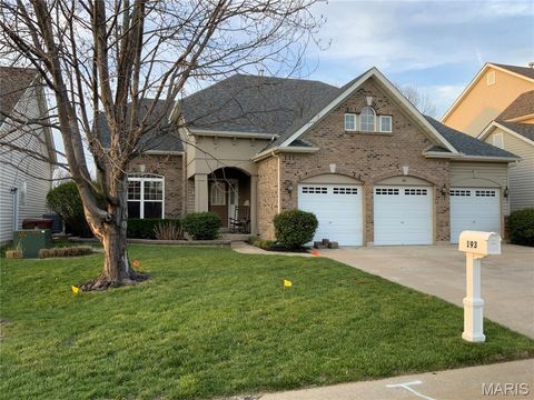 Tiny photo for 193 Berry Manor Circle, St Peters, MO 63376 (MLS # 26019266)
