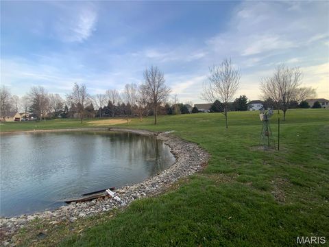Tiny photo for 193 Berry Manor Circle, St Peters, MO 63376 (MLS # 26019266)