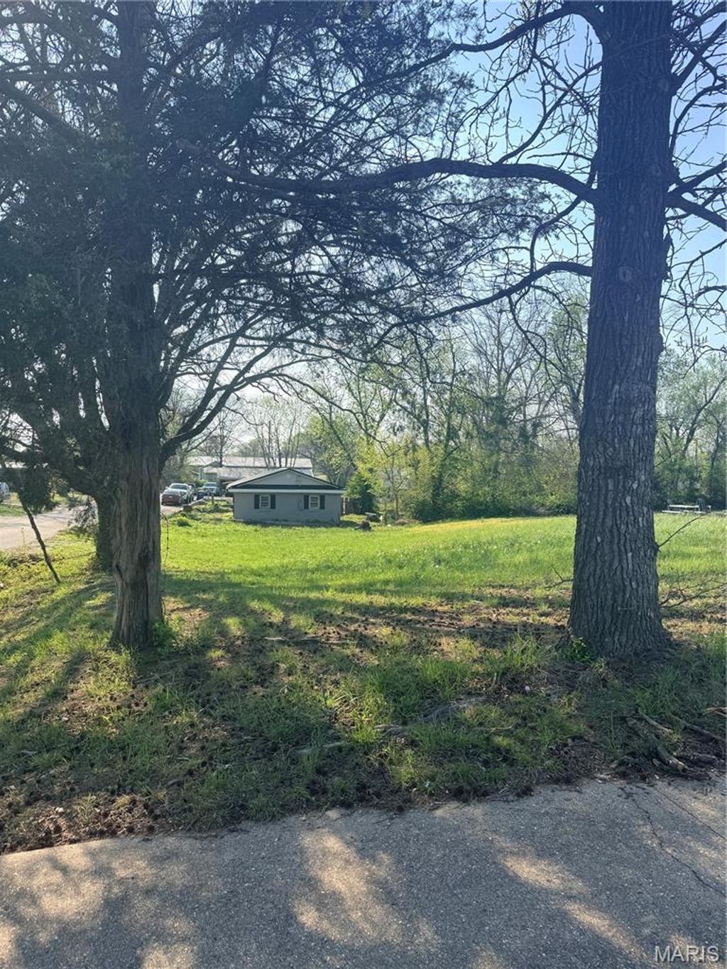 Photo of 907 S Warfel Street, Salem, MO 65560 (MLS # 26020833)