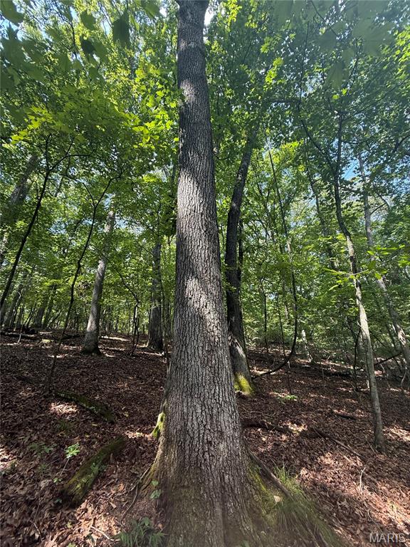 Heritage Isle - Land