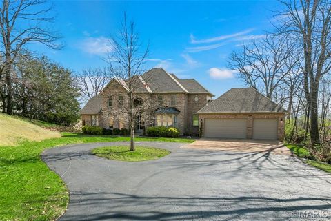 Tiny photo for 6686 Clifton Bluffs Court, St Louis, MO 63129 (MLS # 26017246)