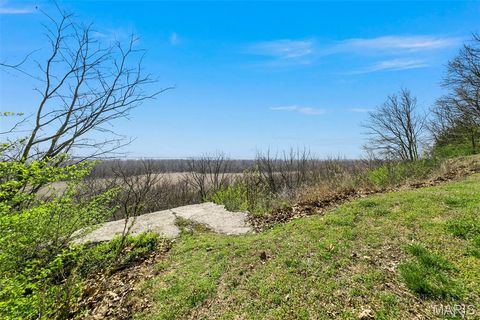 Tiny photo for 6686 Clifton Bluffs Court, St Louis, MO 63129 (MLS # 26017246)
