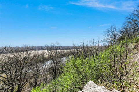 Tiny photo for 6686 Clifton Bluffs Court, St Louis, MO 63129 (MLS # 26017246)