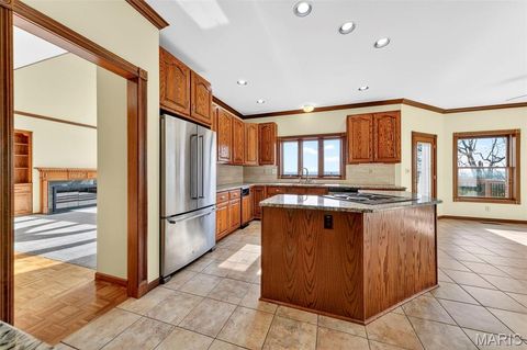 Tiny photo for 6686 Clifton Bluffs Court, St Louis, MO 63129 (MLS # 26017246)