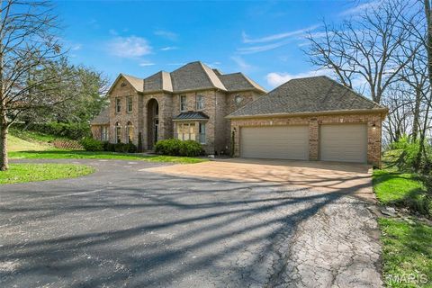 Tiny photo for 6686 Clifton Bluffs Court, St Louis, MO 63129 (MLS # 26017246)