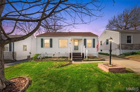 Photo of 10512 Saint Francis Lane, St Ann, MO 63074 (MLS # 26019025)