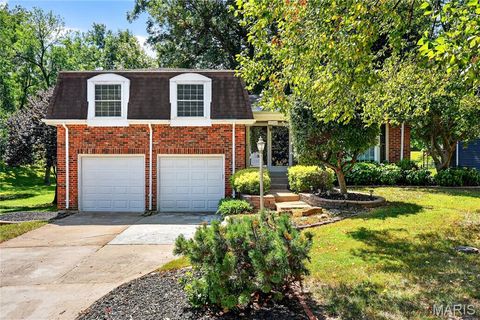730 Yale Avenue Webster Groves MO 63119
