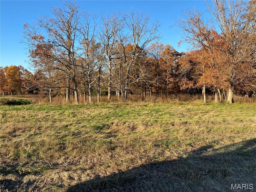 Beautiful 5.01 acre tract with lots of trees and an open area for a home.  There is a pond on the lot, and public water and electric has been ran to the lot.  Ideal to build your dream home on.  New development with lots of privacy