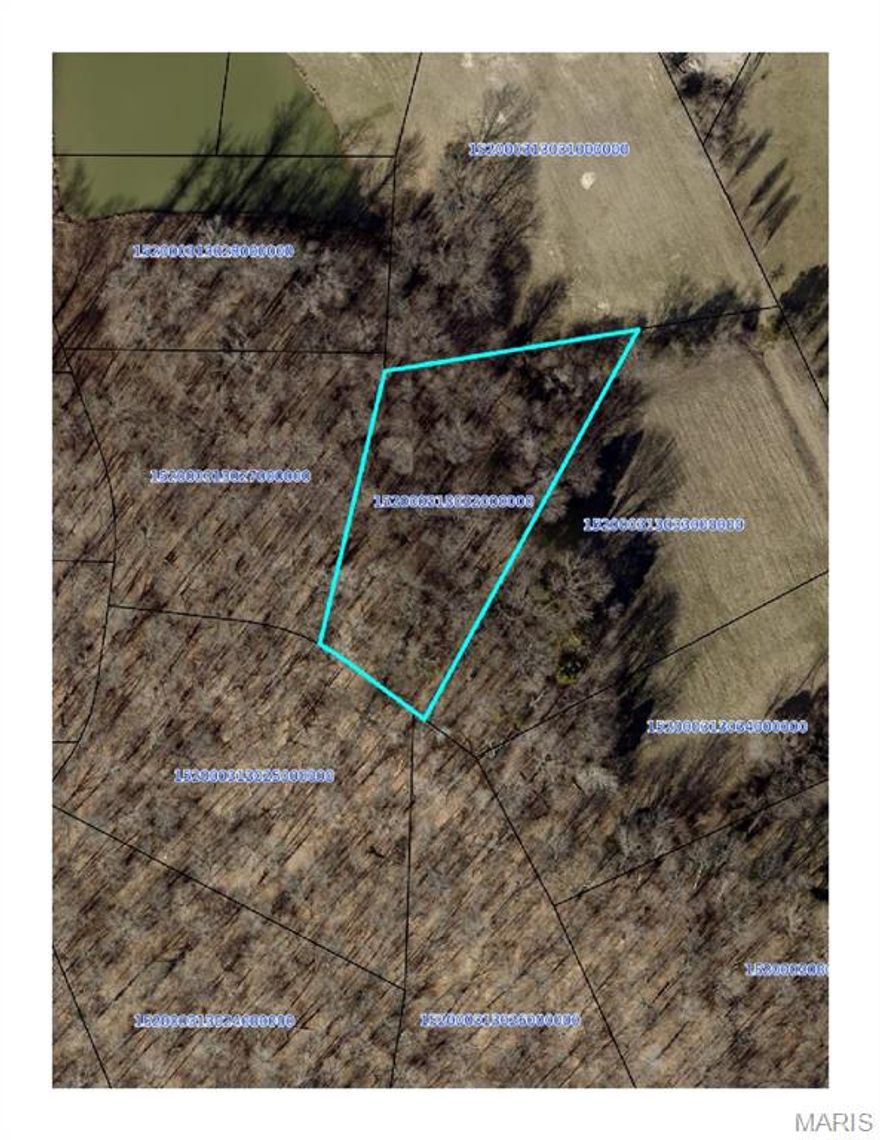 Build your dream home in the perfect location! Heritage Farms Estates offers the ideal balance of peaceful country living with the convenience of being just minutes outside of Cape Girardeau and Jackson. There are currently only 7 lots remaining, each featuring over one acre of space for your custom build. These lots are construction-ready with County water and Ameren Electric available at the property. for all your high speed internet needs, Circle Fiber is one street over and is requested to be installed. Don't miss your chance to secure your spot in this desirable community!