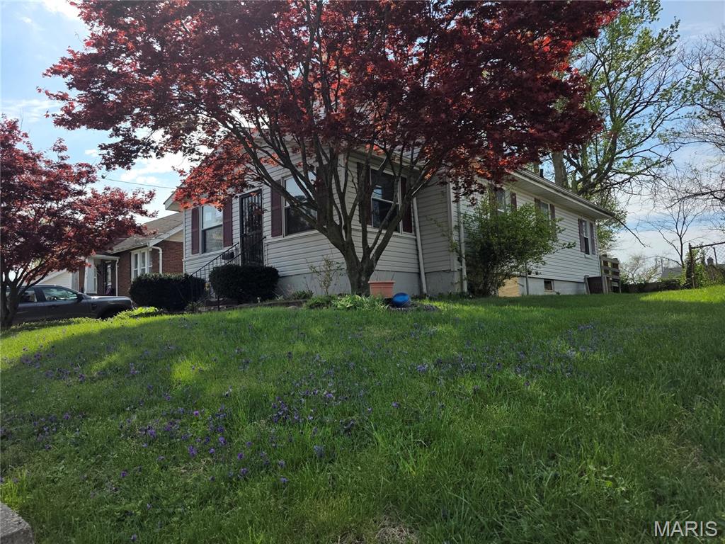 Webster Heights - Residential