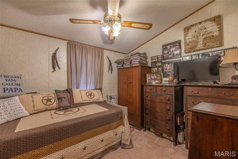 Tiny photo for 416 Trail Ridge Court, Troy, MO 63379 (MLS # 25067450)