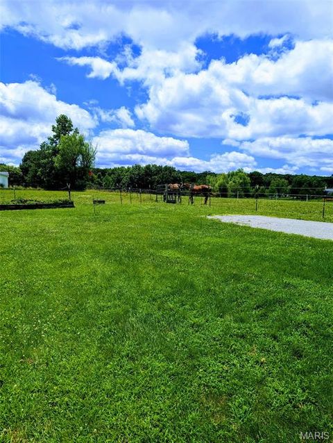 Tiny photo for 416 Trail Ridge Court, Troy, MO 63379 (MLS # 25067450)