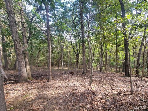 Tiny photo for 416 Trail Ridge Court, Troy, MO 63379 (MLS # 25067450)