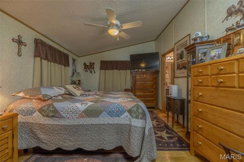 Tiny photo for 416 Trail Ridge Court, Troy, MO 63379 (MLS # 25067450)