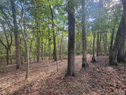 Tiny photo for 416 Trail Ridge Court, Troy, MO 63379 (MLS # 25067450)