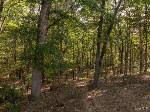 Tiny photo for 416 Trail Ridge Court, Troy, MO 63379 (MLS # 25067450)
