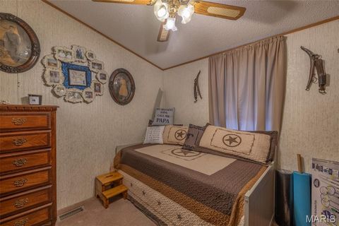 Tiny photo for 416 Trail Ridge Court, Troy, MO 63379 (MLS # 25067450)