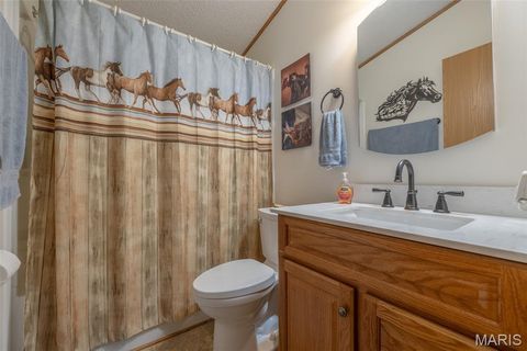 Tiny photo for 416 Trail Ridge Court, Troy, MO 63379 (MLS # 25067450)