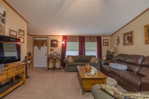 Tiny photo for 416 Trail Ridge Court, Troy, MO 63379 (MLS # 25067450)