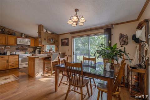 Tiny photo for 416 Trail Ridge Court, Troy, MO 63379 (MLS # 25067450)