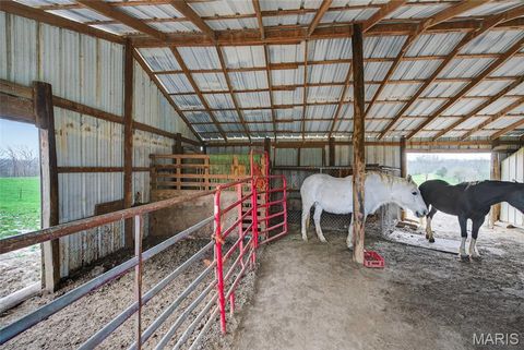 Tiny photo for 16045 State Highway D, Oak Ridge, MO 63769 (MLS # 26019056)