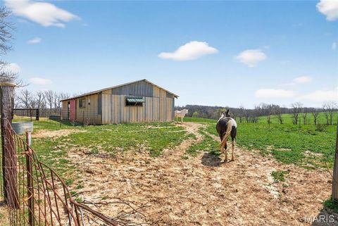 Tiny photo for 16045 State Highway D, Oak Ridge, MO 63769 (MLS # 26019056)