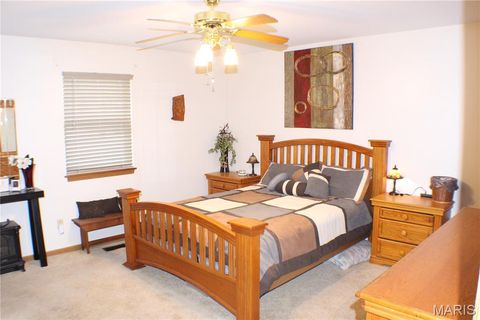 Tiny photo for 157 Carrington Boulevard, Troy, MO 63379 (MLS # 26017813)