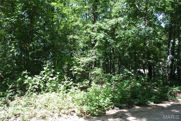 12 LAKEVIEW, WAPPAPELLO, MO 63966 - Image 9cc82ee538ff204121d2ef6d02b7d04f/3972026629