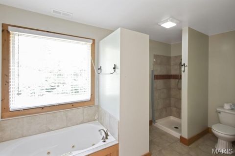 Tiny photo for 323 Lake Shore Drive, St Clair, MO 63077 (MLS # 26030251)