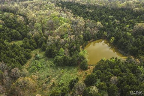Tiny photo for 3 Cleavesville Road, Bland, MO 65014 (MLS # 26029615)