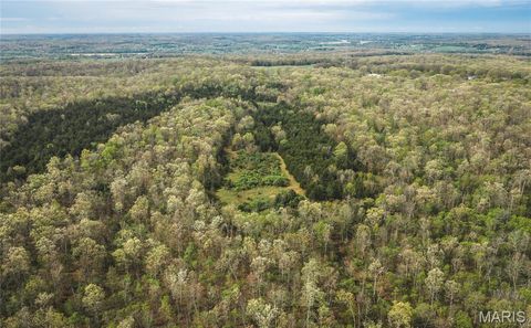 Photo of 3 Cleavesville Road, Bland, MO 65014 (MLS # 26029615)
