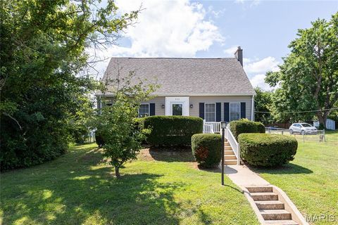 906 Parkview Drive Festus MO 63028