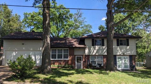 402 Gruber Avenue Union MO 63084