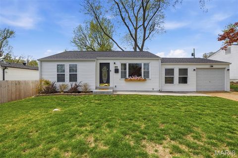 Photo of 8517 Ava Drive, St Louis, MO 63123 (MLS # 26019498)