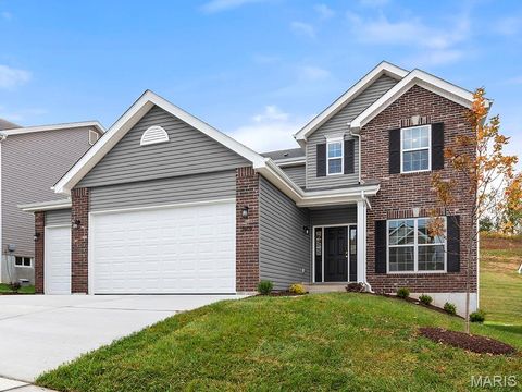 557 Evening Primrose Drive Wentzville MO 63385