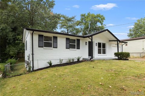 617 N Elm Avenue Webster Groves MO 63119