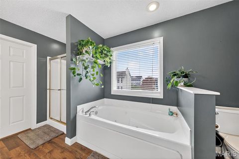 Tiny photo for 1456 Devonshire County Drive, Wentzville, MO 63385 (MLS # 25078631)