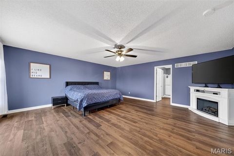 Tiny photo for 1456 Devonshire County Drive, Wentzville, MO 63385 (MLS # 25078631)