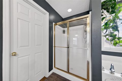 Tiny photo for 1456 Devonshire County Drive, Wentzville, MO 63385 (MLS # 25078631)