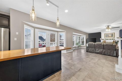 Tiny photo for 1456 Devonshire County Drive, Wentzville, MO 63385 (MLS # 25078631)