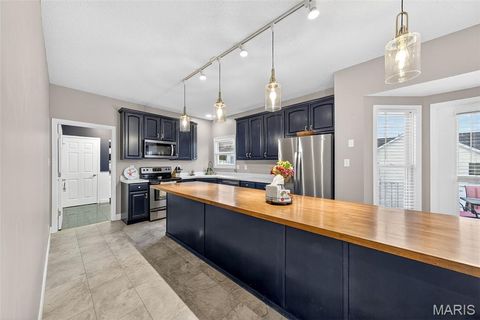 Tiny photo for 1456 Devonshire County Drive, Wentzville, MO 63385 (MLS # 25078631)