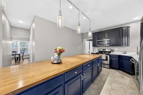 Tiny photo for 1456 Devonshire County Drive, Wentzville, MO 63385 (MLS # 25078631)