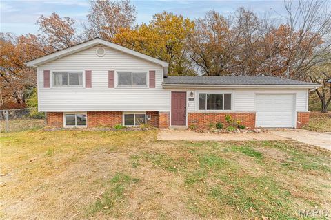 1716 Debbie Drive High Ridge MO 63049