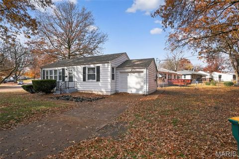 Photo of 10129 Ashbrook Drive, St Louis, MO 63137 (MLS # 25077333)