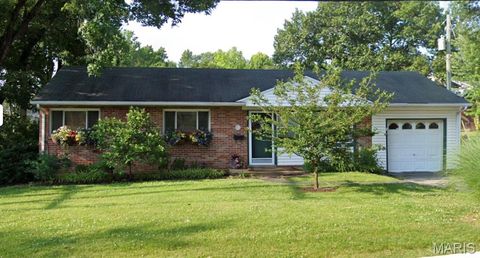 Photo of 464 Quan Avenue, Kirkwood, MO 63122 (MLS # 25079911)