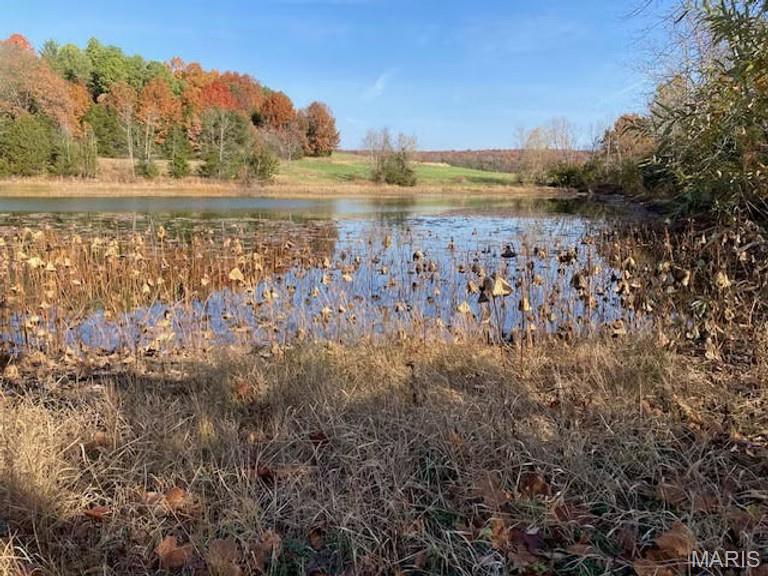 1733 Schluersburg Road